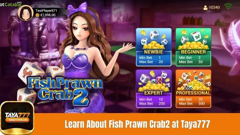 Learn About Fish Prawn Crab2 at Taya777