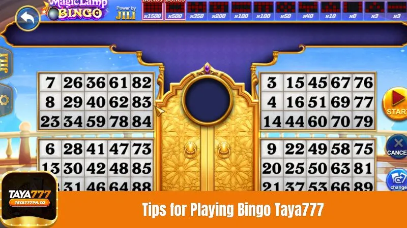 Tips for Playing Bingo Taya777